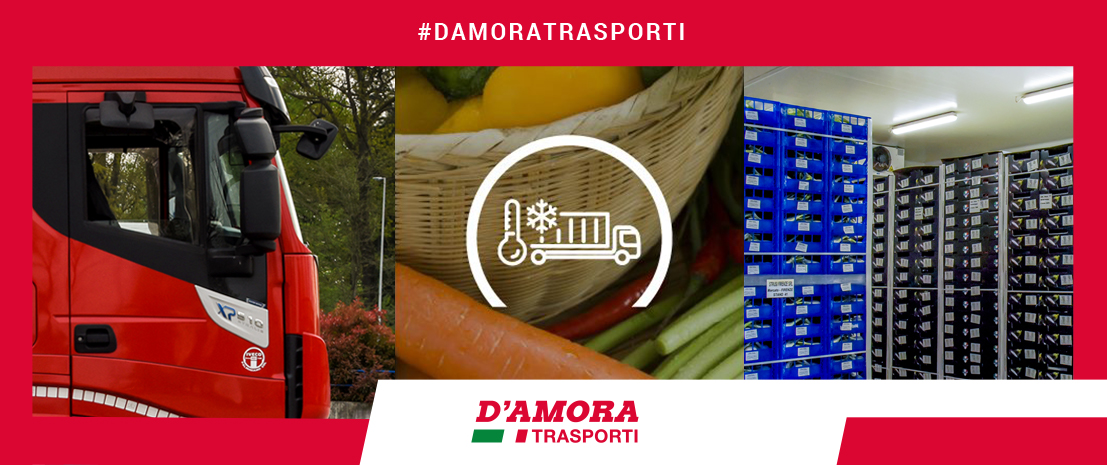 D’Amora Trasporti – Catena del freddo formato blog